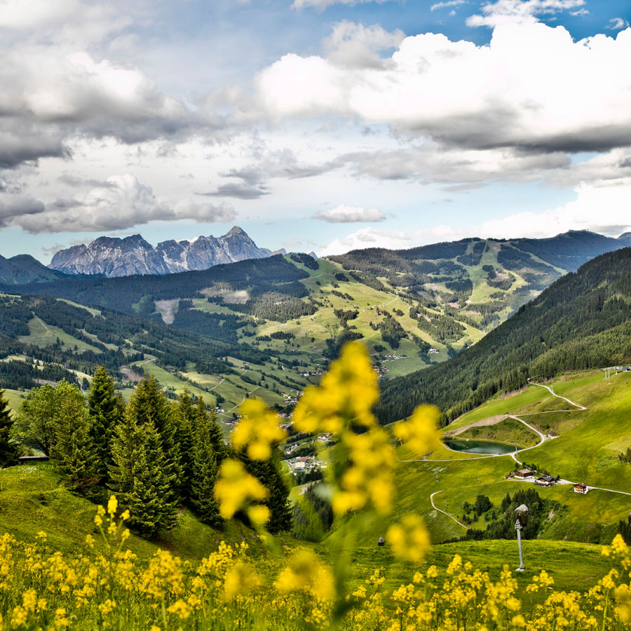 sommerurlaub saalbach 4