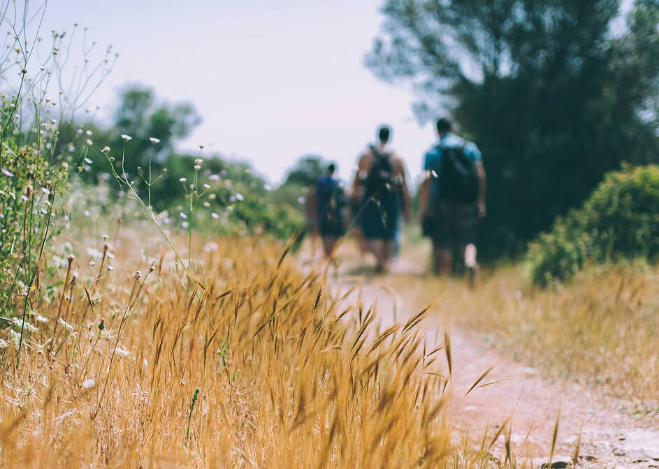 gaesteinfo wanderwege